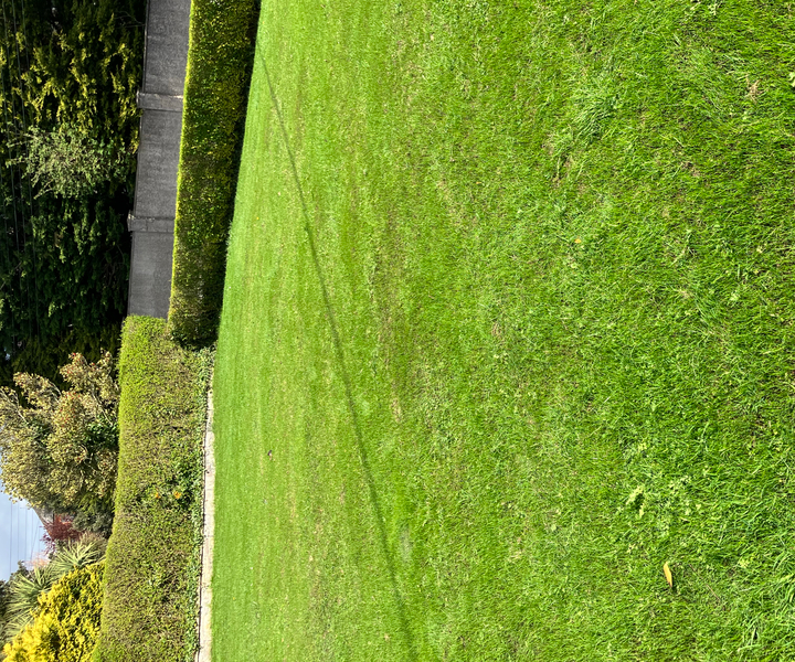 Cover photo of Murtaghs Lawn Care